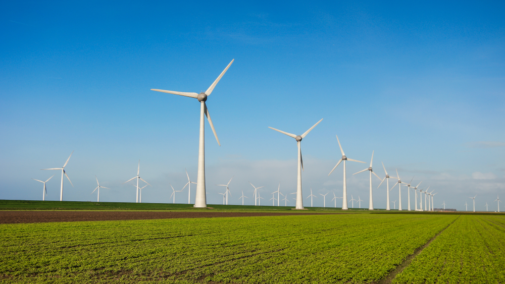 Вексель — что это за долговая ценная бумага, виды векселей, какие права ...