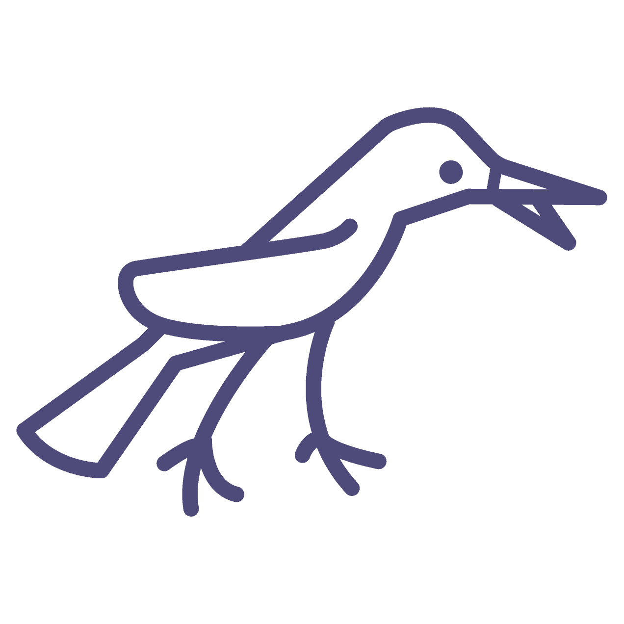 Купить лаванду в Москве. Букеты из лаванды и сухоцветов. Подарки ручной ...