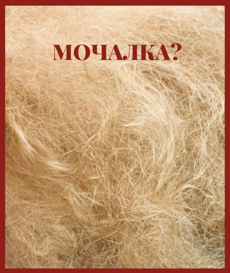 Обзор Dreame Hair Glory: фен, который может высушить волосы за несколько минут — Журнал Ситилинк