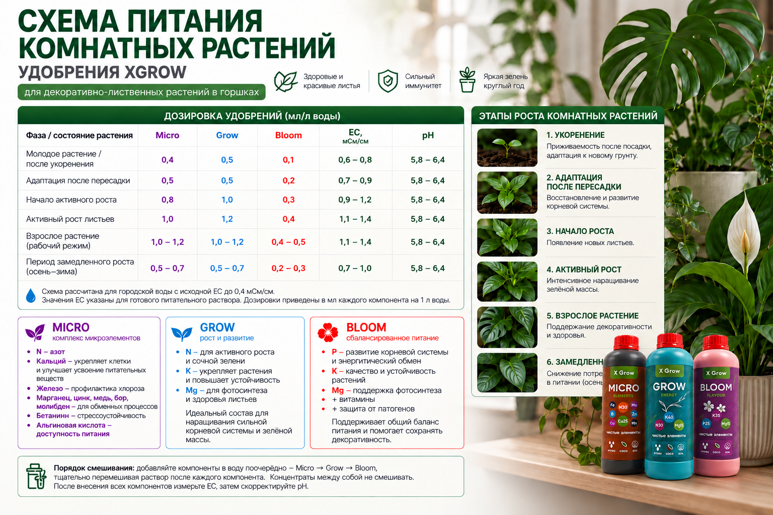 Схема питания комнатных растений