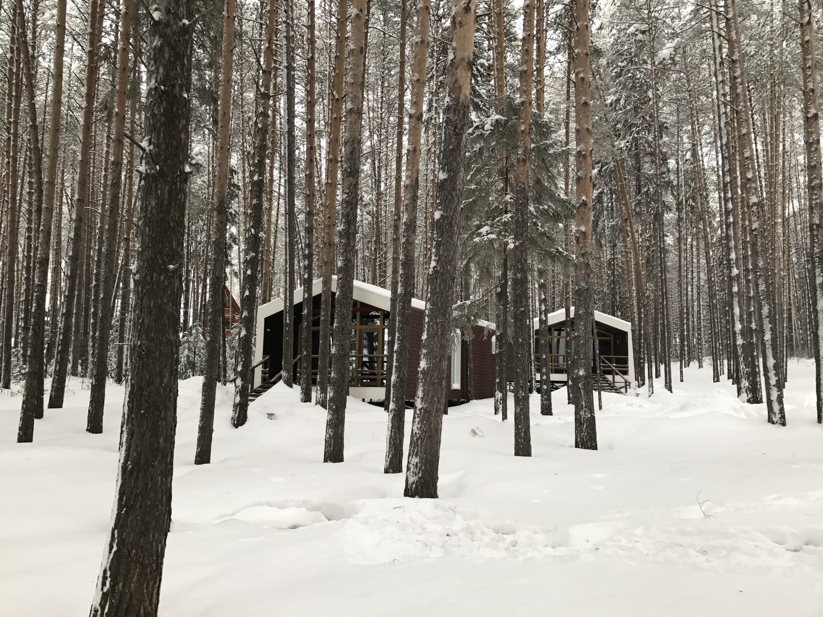 Эко-отель на берегу реки