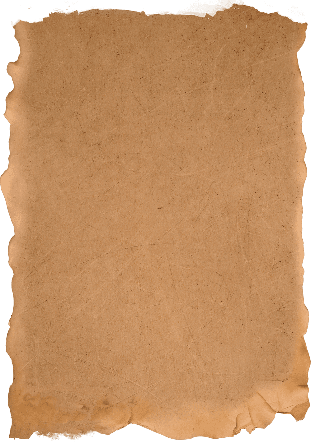 Дверь в Хогвартс СПБ - Афиша