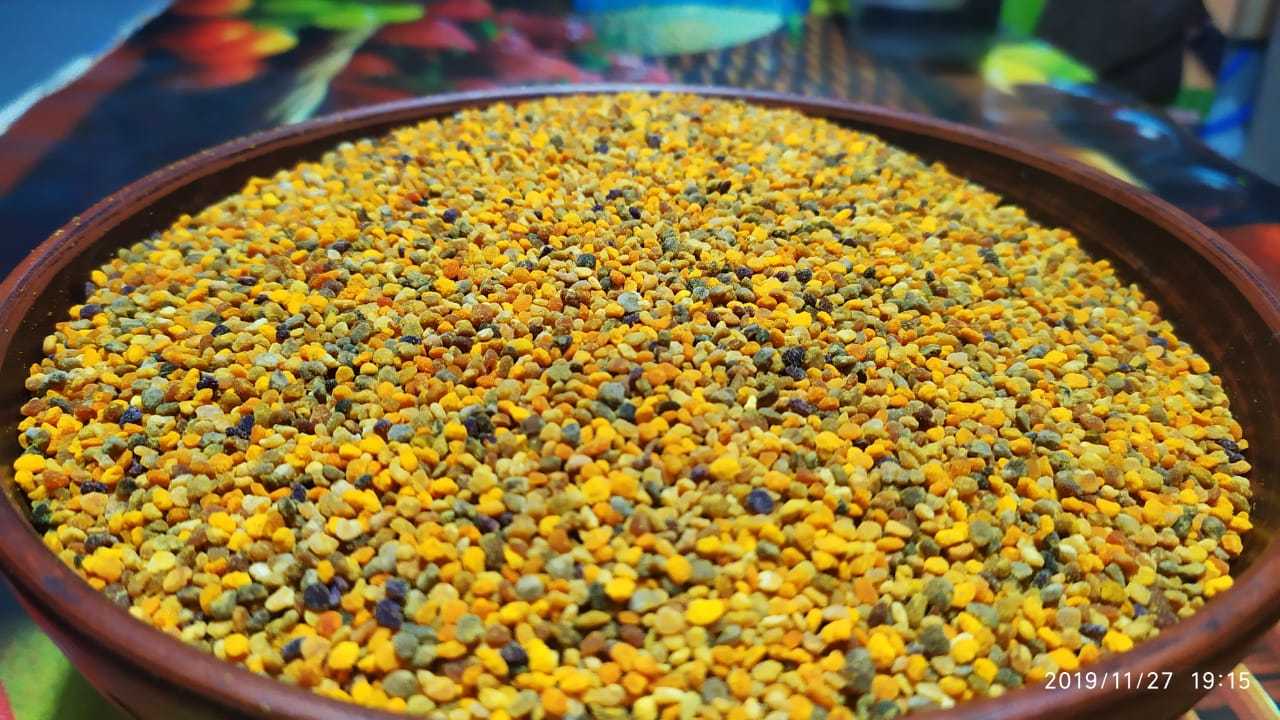 Обножка (пчелиная пыльца с личной пасеки в Оренбуржье.