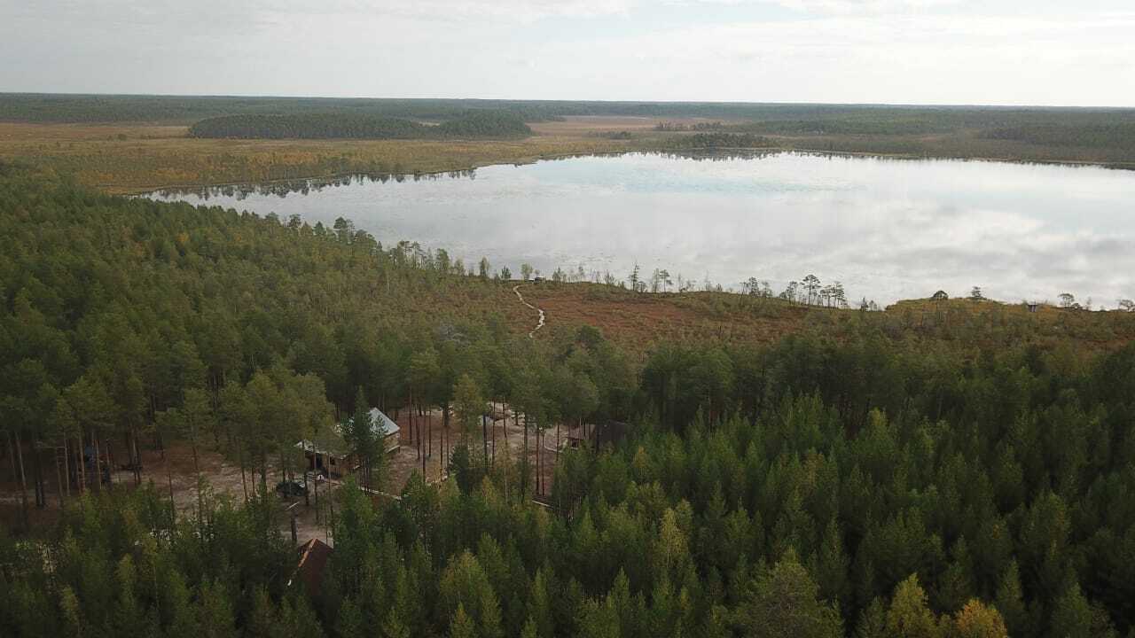 Лес и озеро коттеджный поселок Малышево. Щучье озеро Комарово.