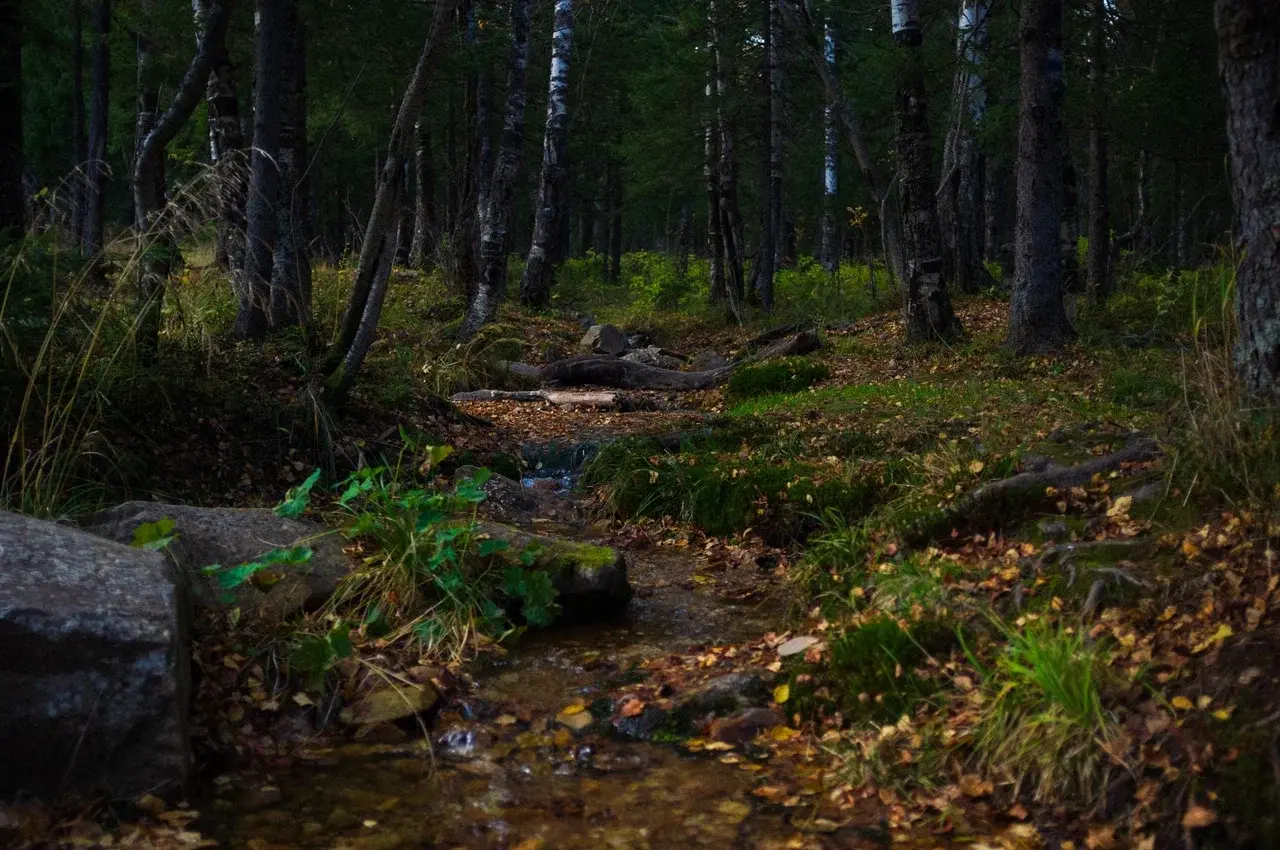 Большая уральска тропа