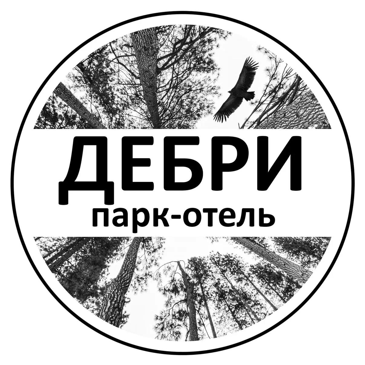 Логотип парк-отеля «Дебри»
