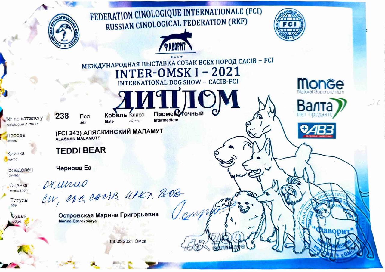 Диплом выставки Inter Omsk I