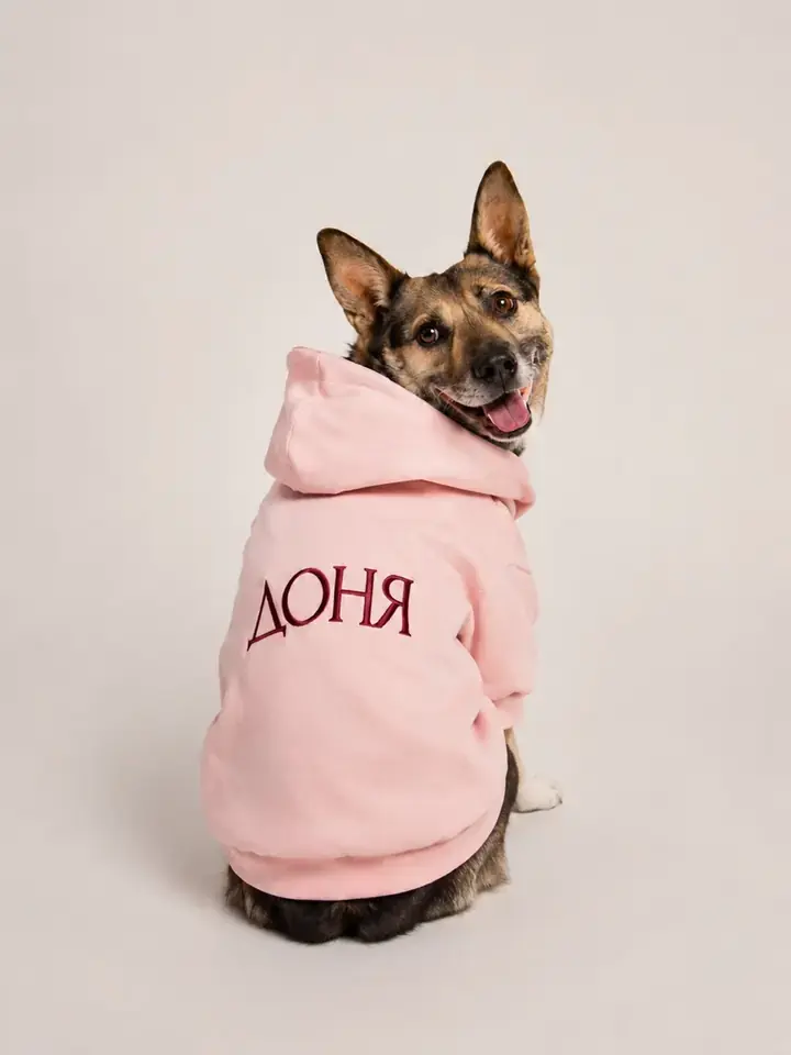 Миниатюрная собака Доня