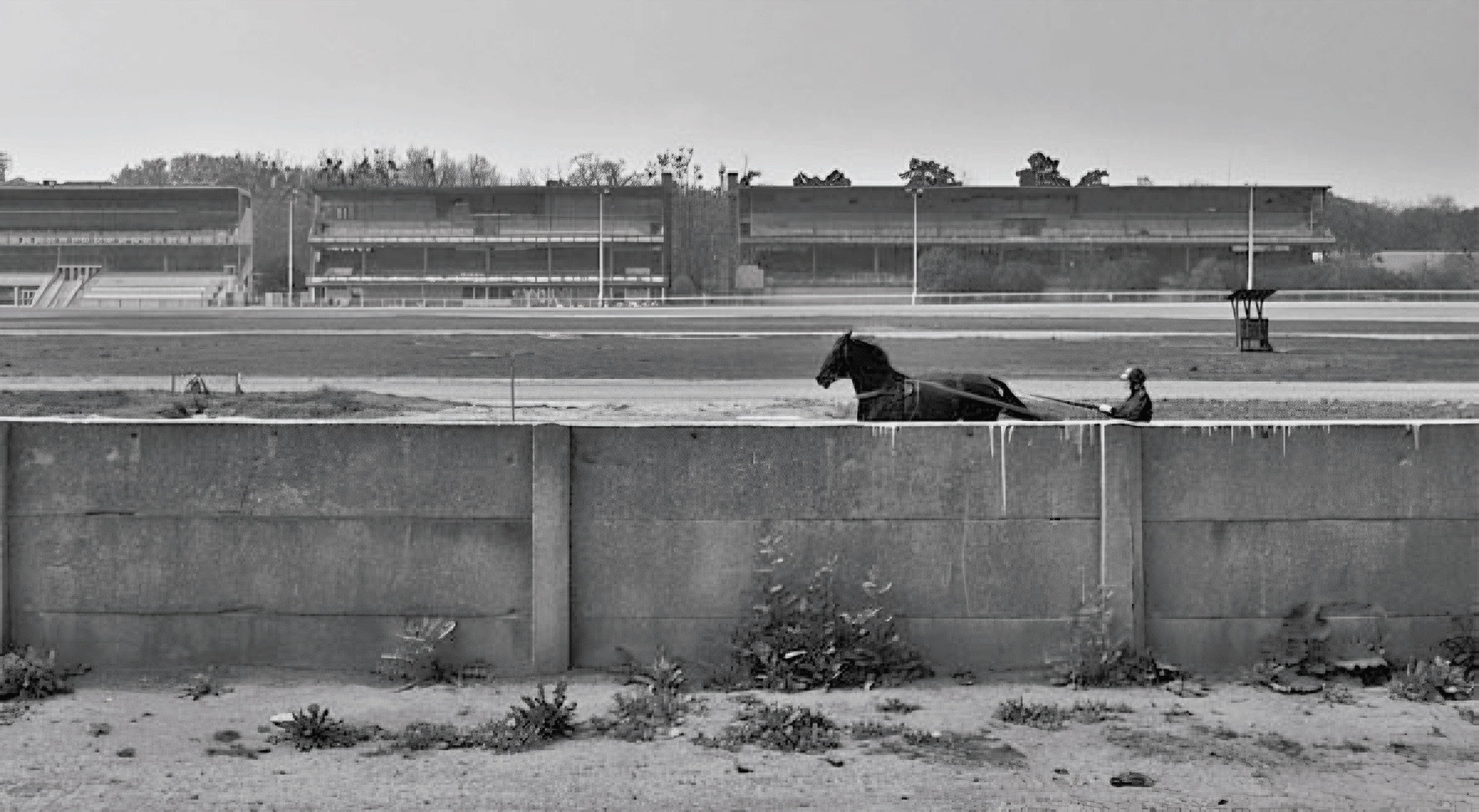 Competitive Design Project for Revitalization of the Historical Hippodrome in Vienna