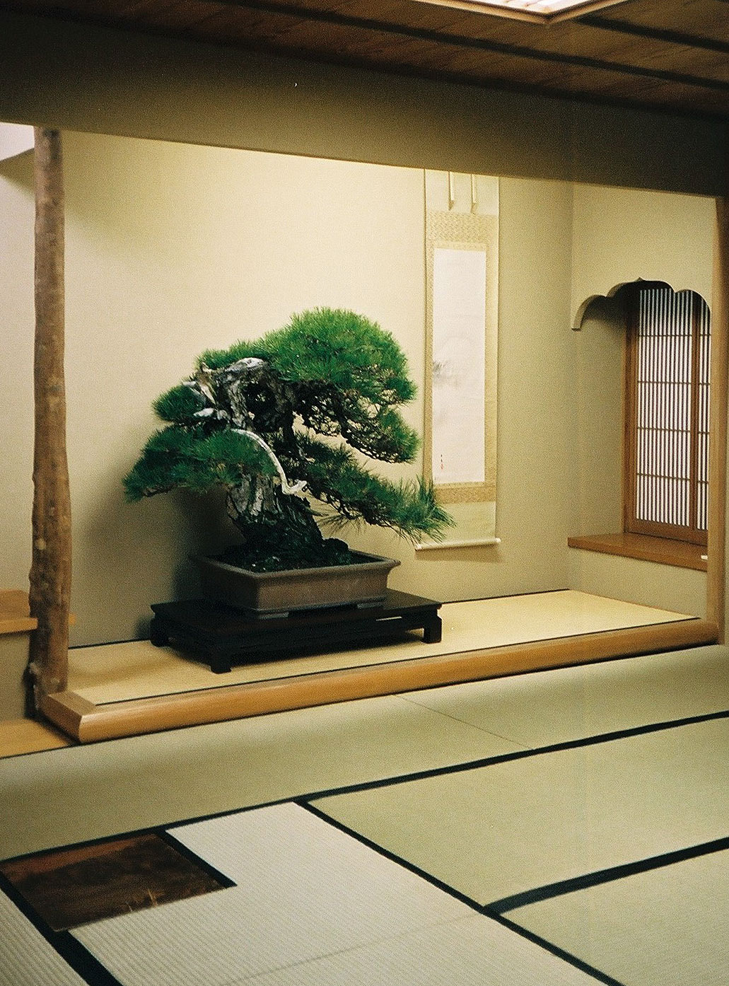 Eng 2 Bonsai Legend Kunio Kobayashi Eng 2 Bonsai Legend Kunio Kobayashi