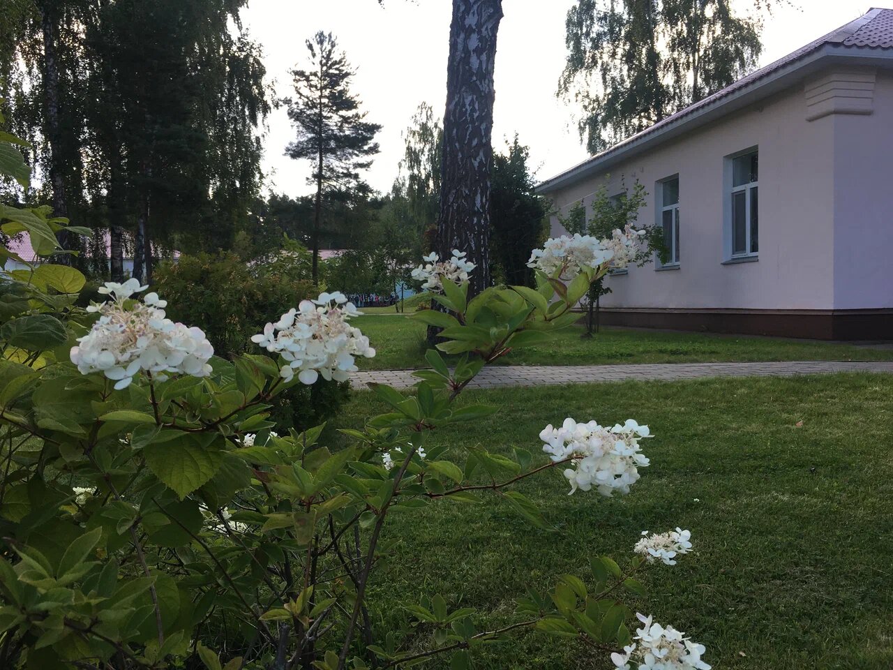 Искраград детский лагерь подмосковье. Искраград, деревня копнино. Искраград детский лагерь подмосковье. Искраград. Искраград, деревня копнино.