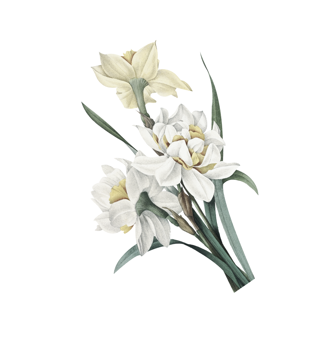 натуральная косметика, магазин профессиональной косметики, крем для ног, крем для ног с мочевиной, крем для ног купить, масло для ногтей, масло монарды для ногтей, масло для ногтей купить, косметика для ногтей, дезодорант для ног