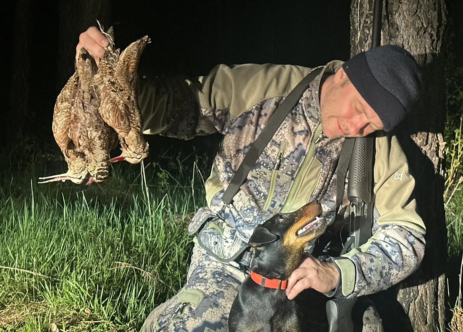 Поиск и добор вальдшнепа - любимая охота Ярославны