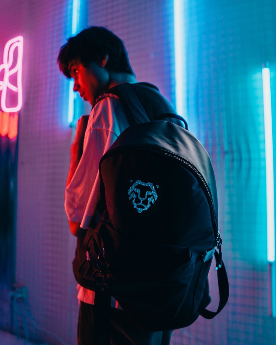 LED Lion — foto 2