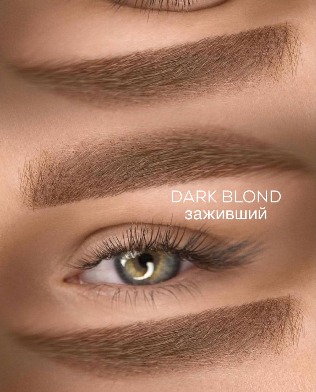 GOLDEN BLOND 1