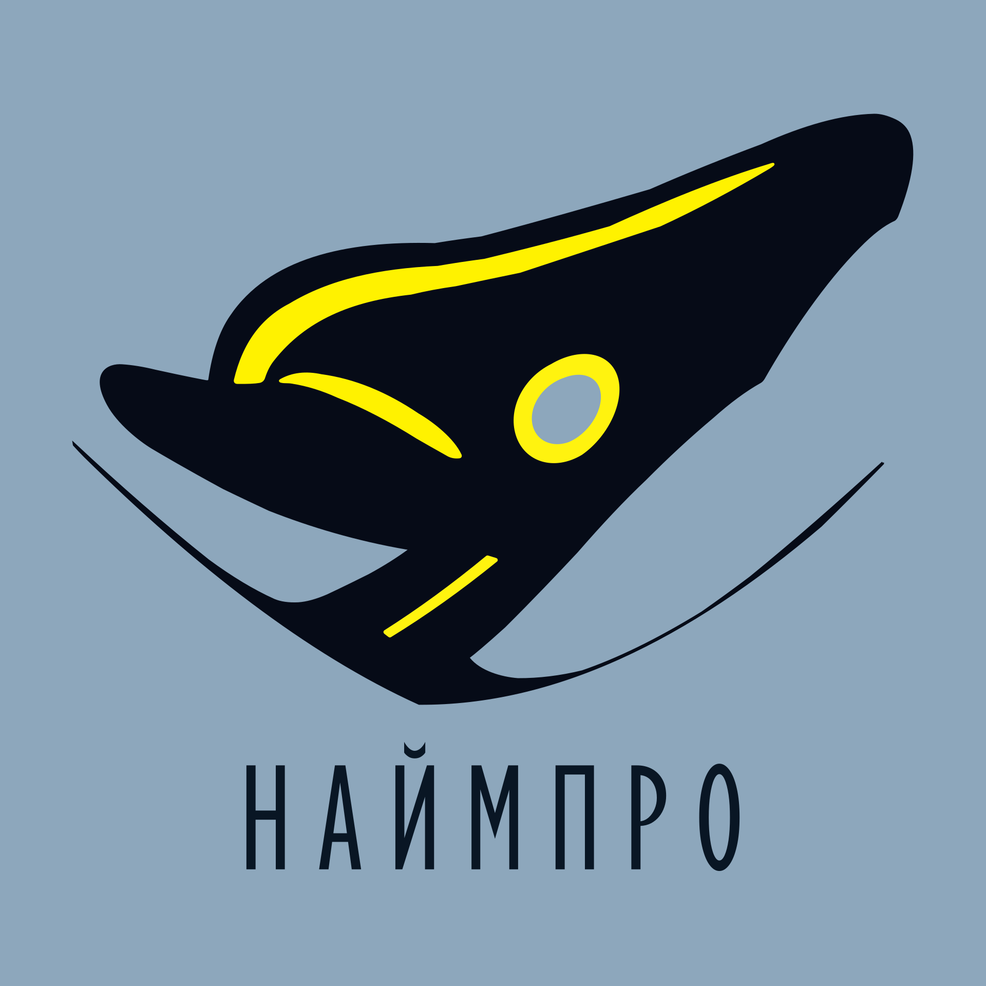 НаймПро