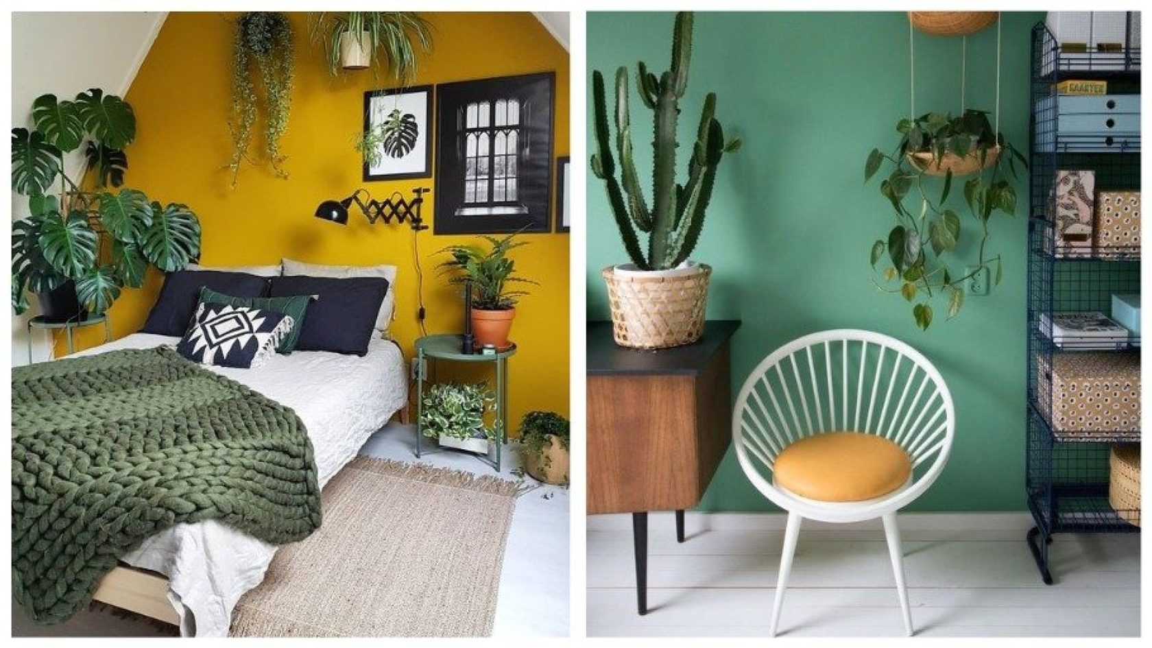 Желтый и зеленый