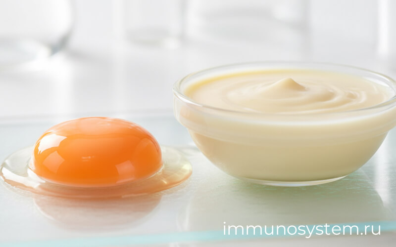 Молозиво и яйцо на светлом фоне — натуральные источники иммунной поддержки, 4Life Transfer Factor Tri-Factor Formula