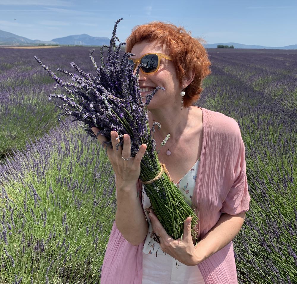 цветущие поля в Провансе