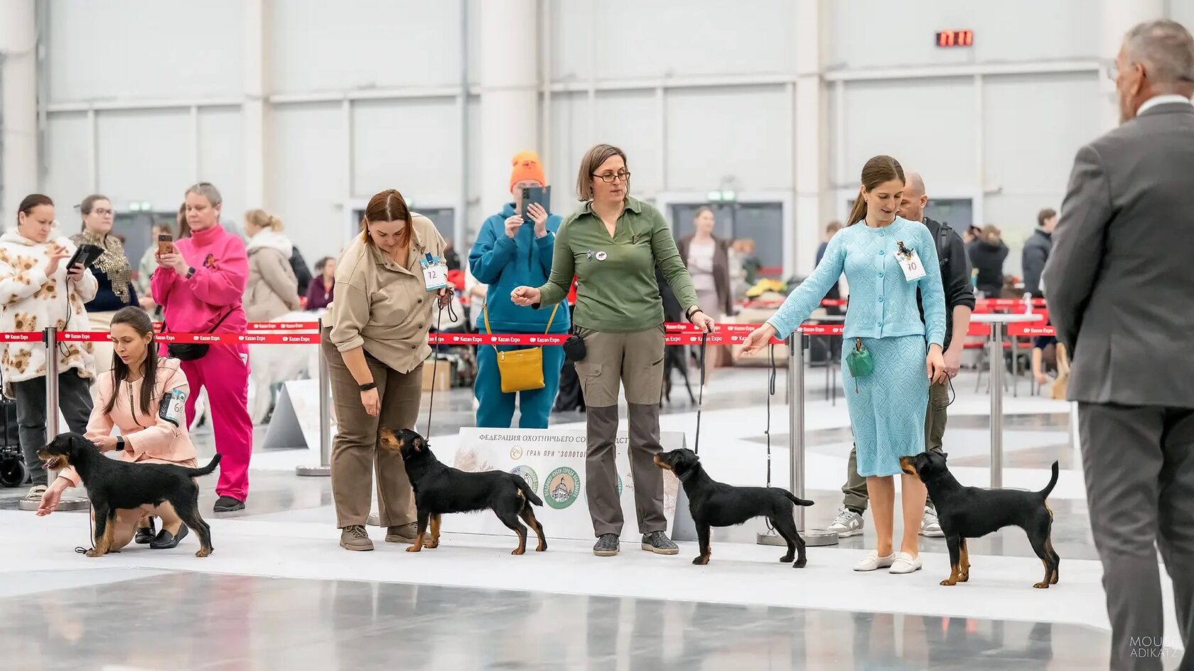 Акбеон лучший питомник монопородной выставки