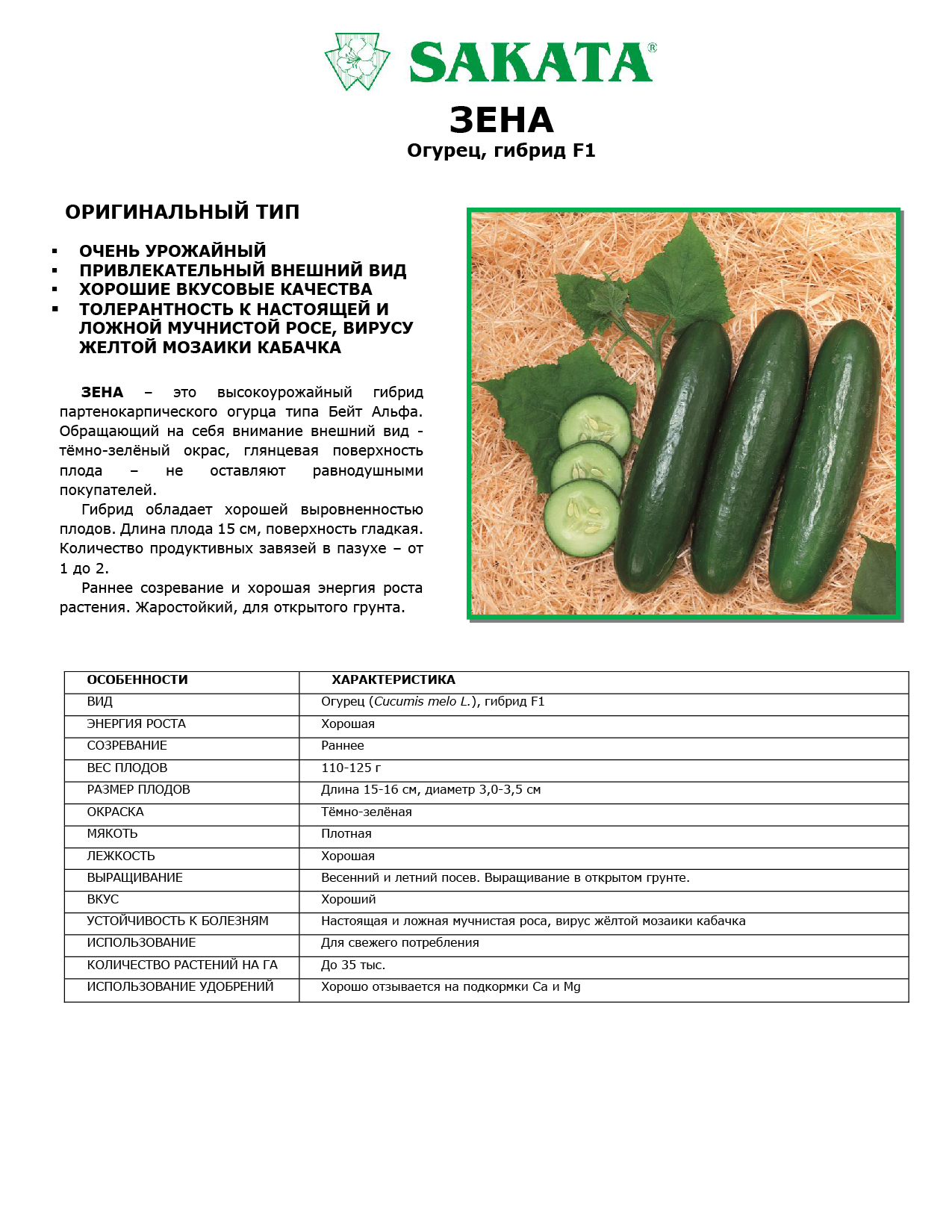 Огурец зена f1. Семена огурцов Зена. Огурец zena f1 (Sakata. Огурцы Зена описание сорта.