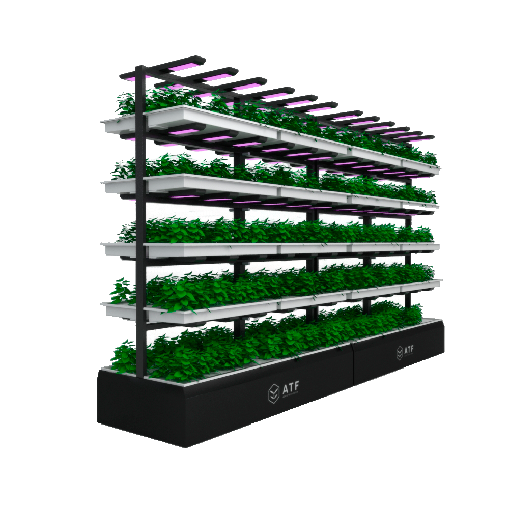 Первая вертикальная ферма в технопарке «Университетский».