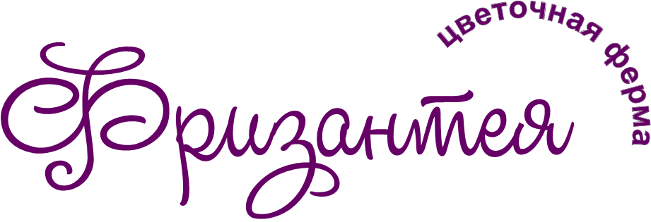 Цветочная ферма Фризантея, фермерские цветы в Нижнем Новгороде