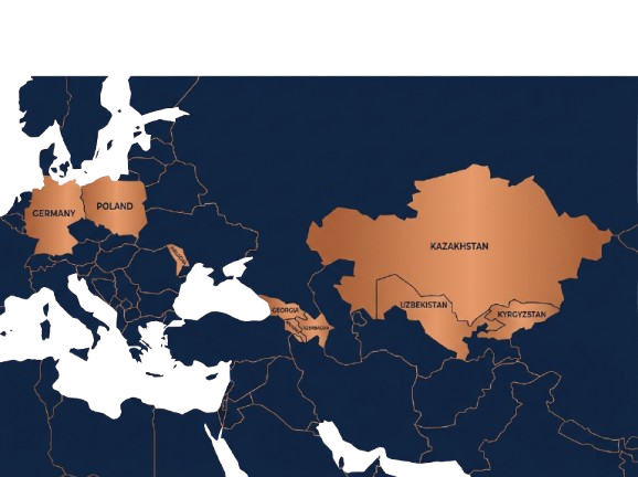 Международный опыт