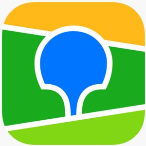 website icon