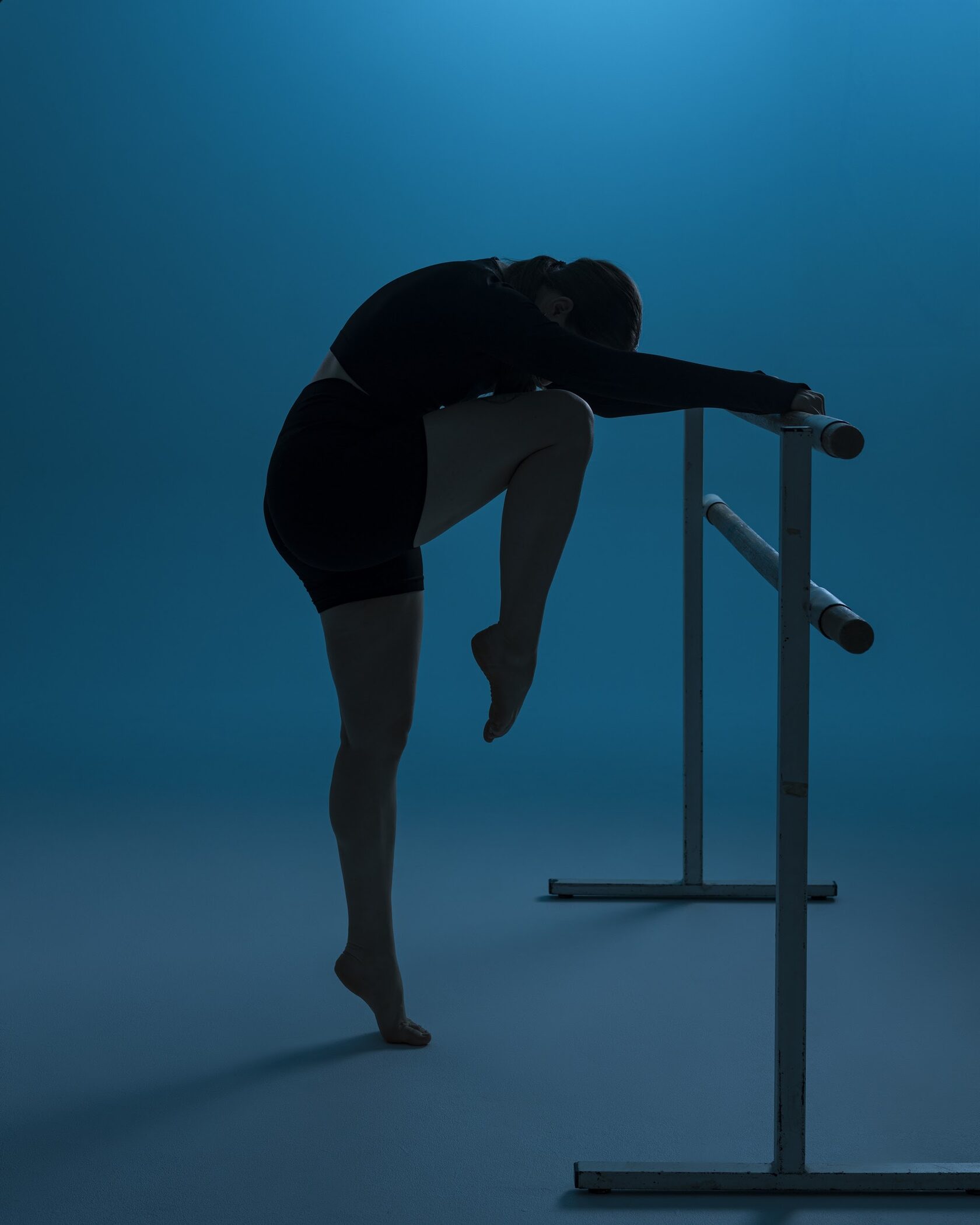 Barre индивидуальные занятия