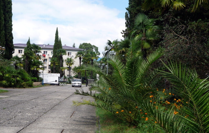 Отдых в Абхазии, отдых в Цандрипш, путешествие, море, солнце, пляж, природа, отели, гостиницы, частный сектор, квартиры. Онлайн бронирование жилья в Абхазии.