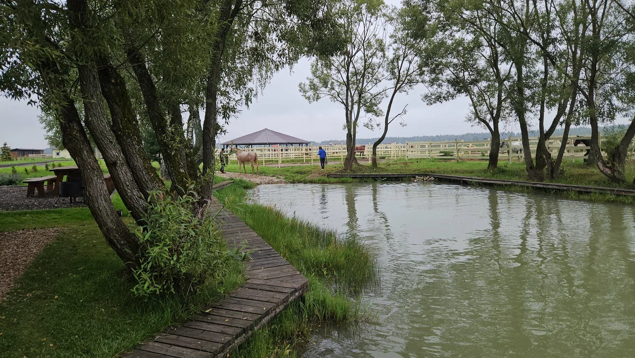 Domudachi – атмосферный загородный дом в Подмосковье
