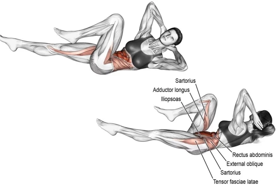 Упражнение велосипед лежа польза. Упражнение велосипед лежа на спине. Bicycle Crunches упражнение. Скручивания лежа с блином. Скручивания на пресс с блином.