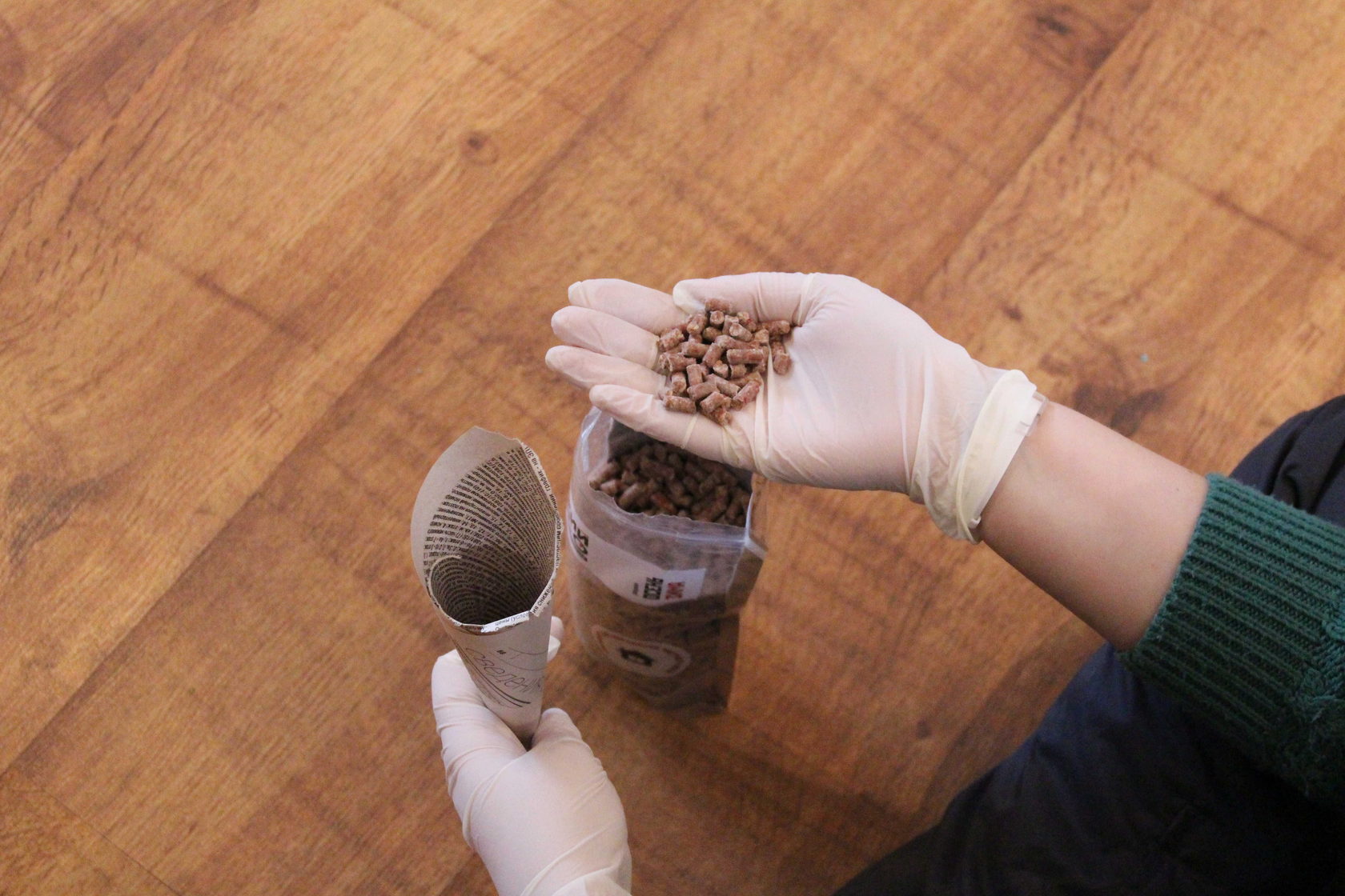 отравленная приманка от мышей в погребе