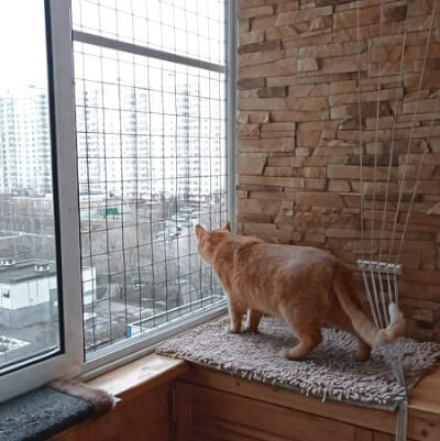 Антикошка на балкон