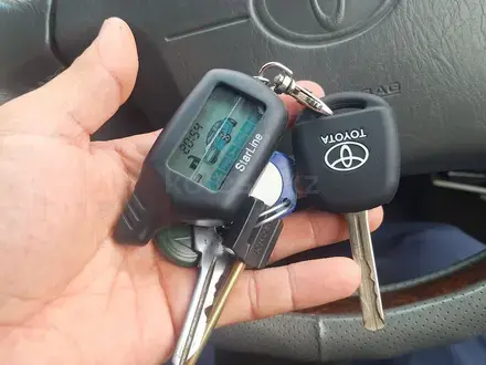 Медвежатник Астана