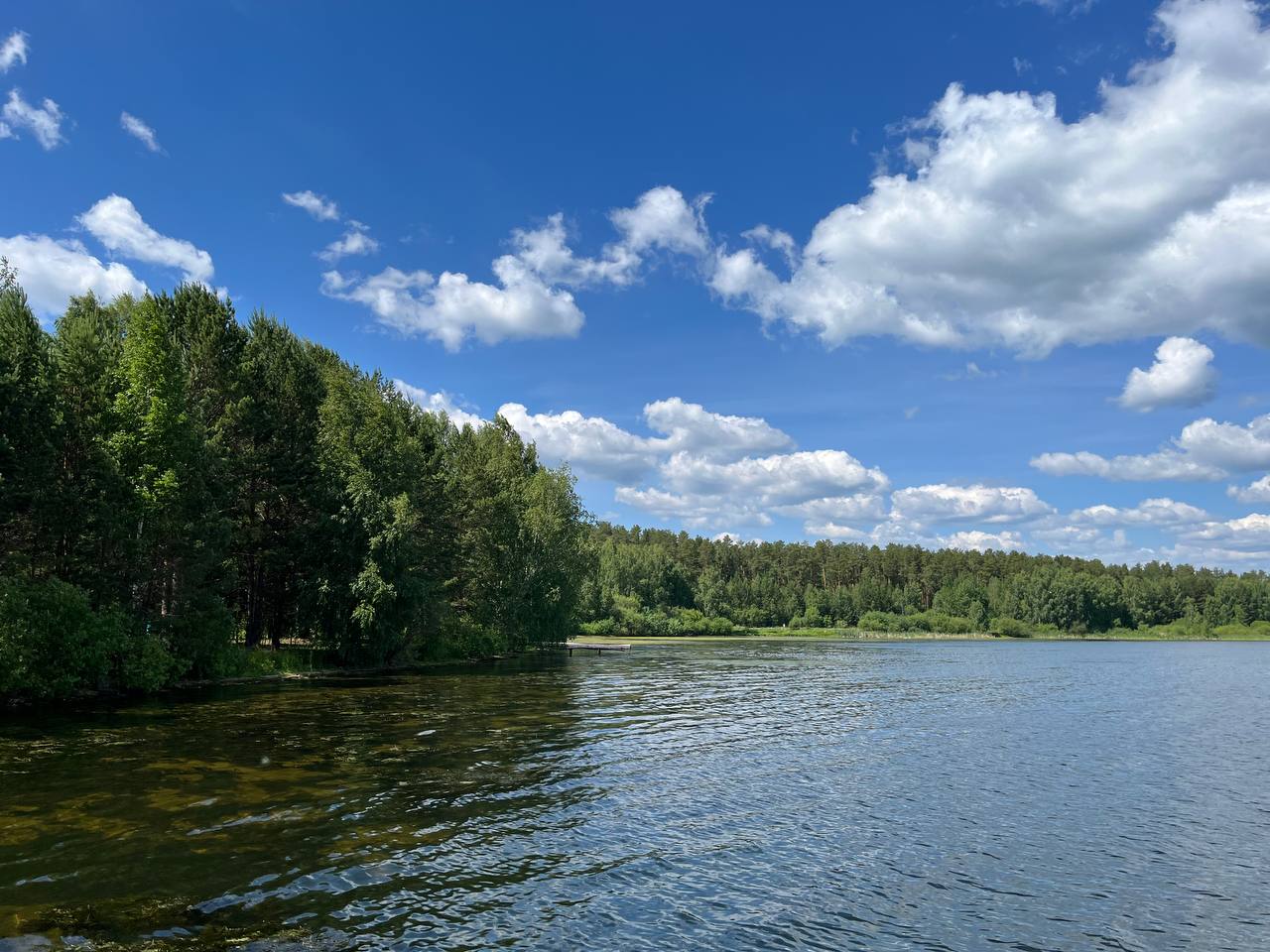 Feel Forest - коттеджи в аренду в Екатеринбурге