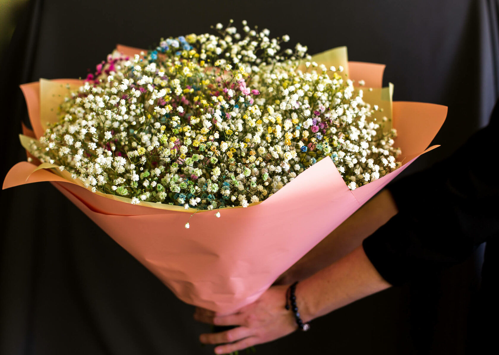 купить гипсофилу