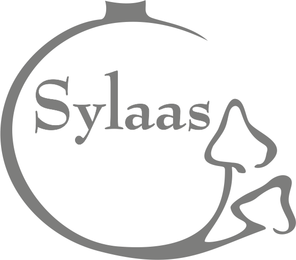 Керамика ручной работы от Лены Федоровой