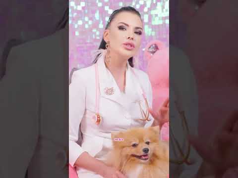 Превью видео «Собака из приюта»