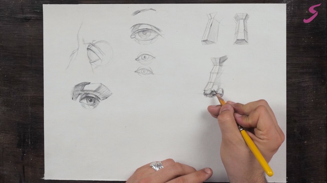 7 steps to draw a nose from the 3/4 view | RapidFireArt