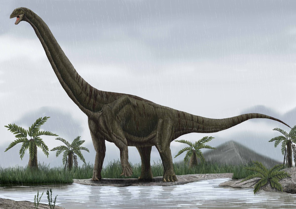 Самый травоядный динозавр