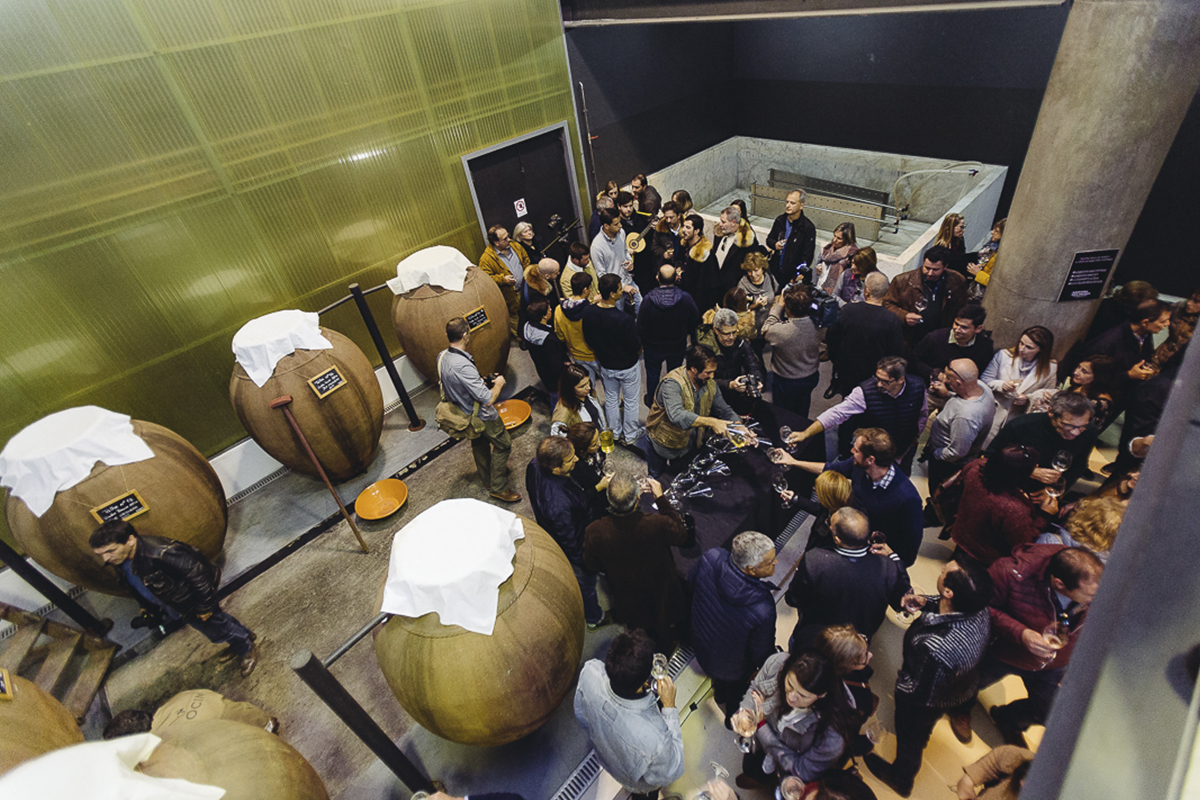 праздник вина