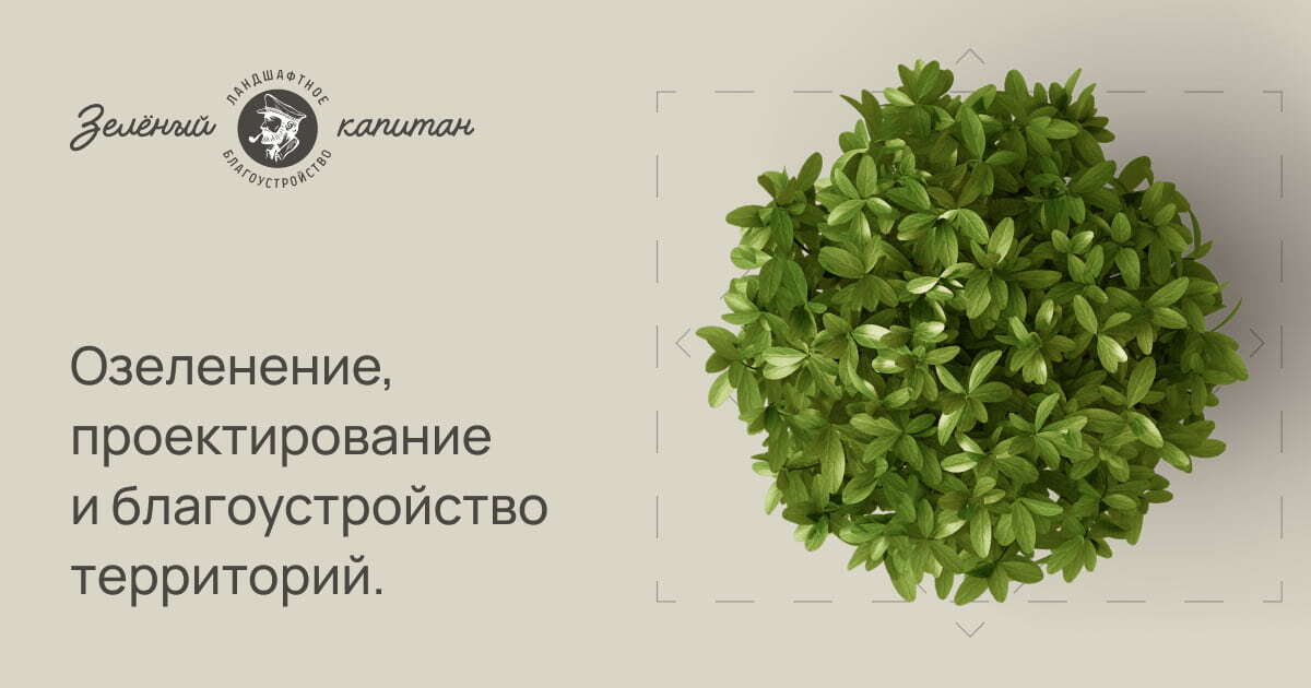 Компания ландшафтного дизайна, озеленения и благоустройства Зелёный капитан