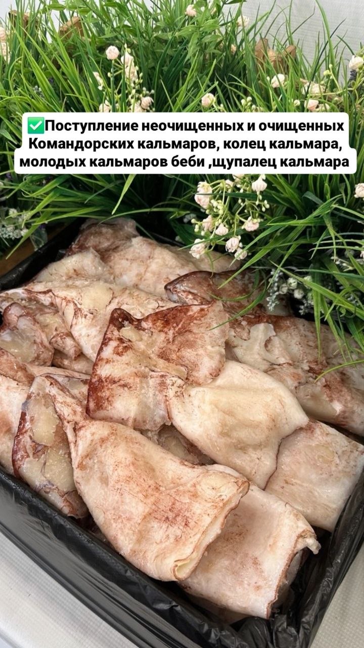 Кальмар