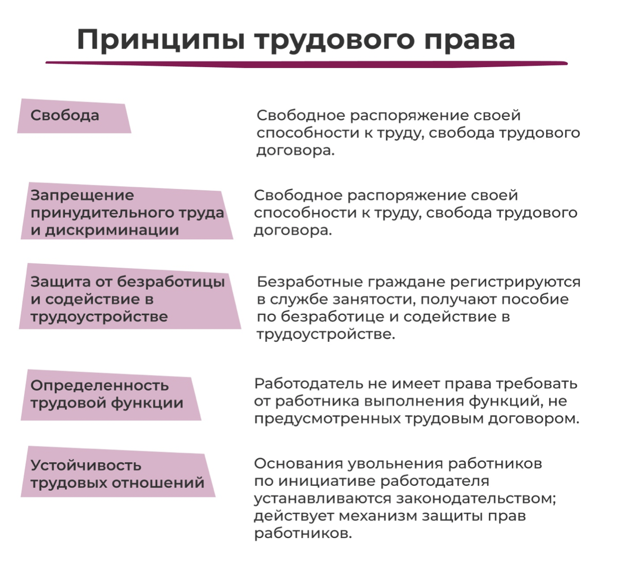 Основы трудовых правоотношений в рф план по обществознанию