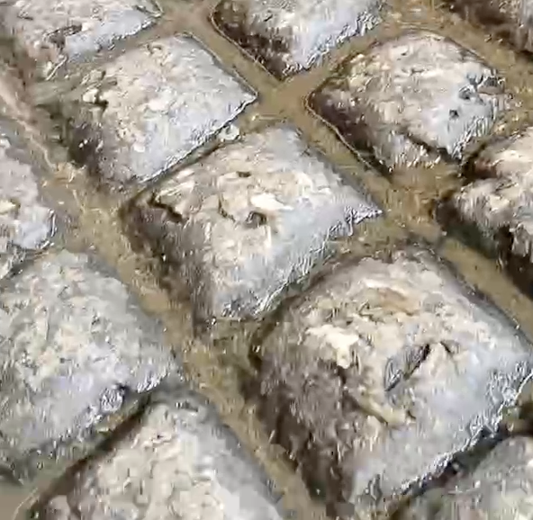 Полы в коровнике