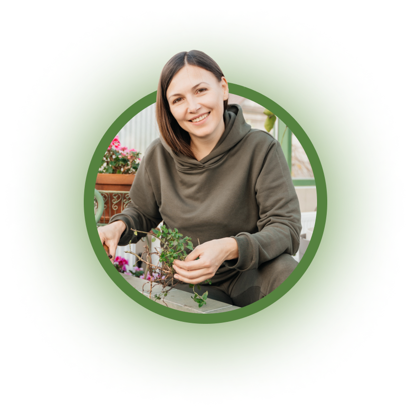 organicschool.ru