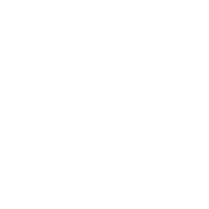 website icon