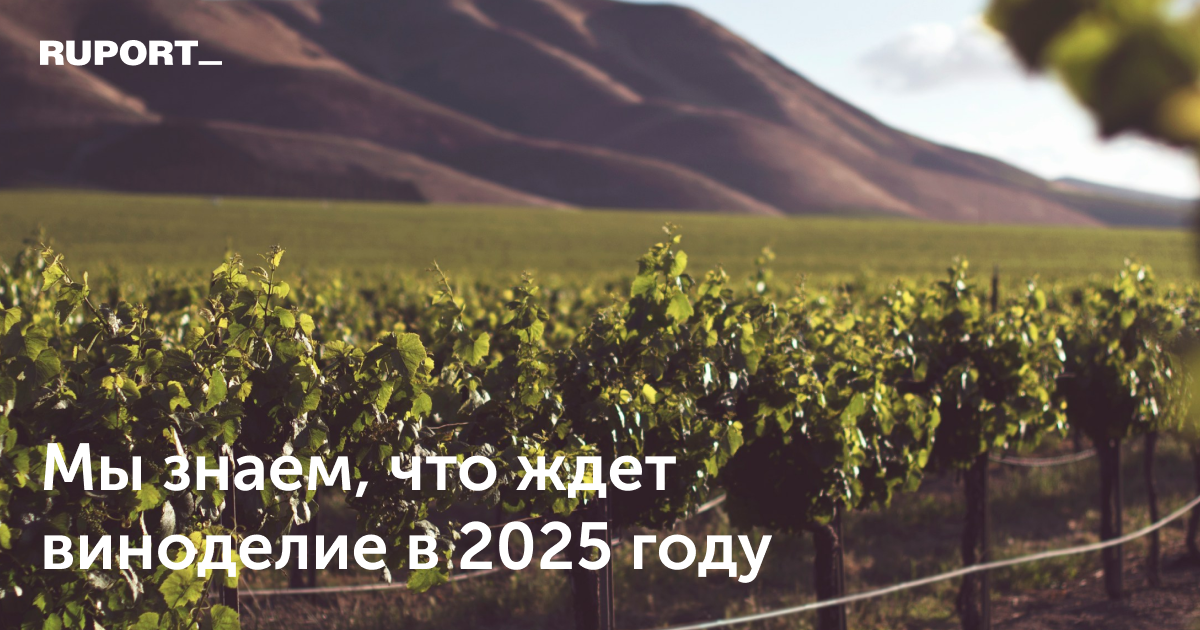 Мы знаем всё о продвижении вина в 2025 году